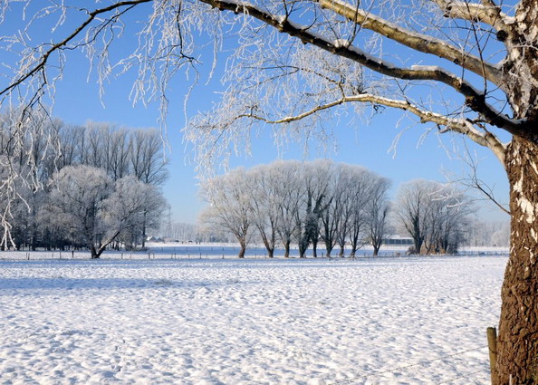 Schneelandschaft