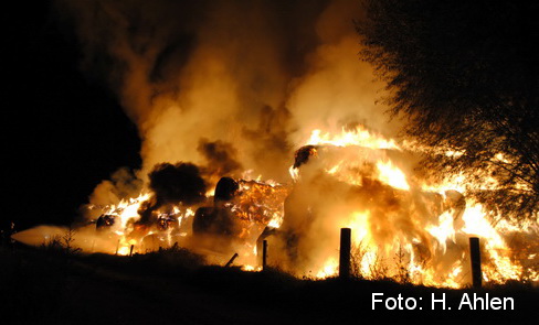 Varbrook-2016-BrandStroh-1