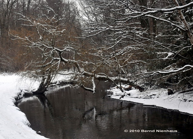 FotoDerWoche-10-06-SchwalmbiegungSchnee