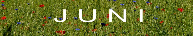 Monat-Juni-Logo