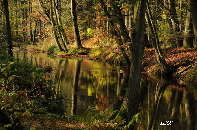 Schwalm-Zwei-Seen-Runde Schwalm-Zwei-Seen-Runde