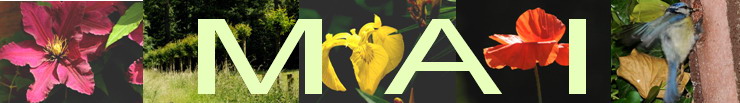 Wonnemonat Mai Logo-Mai