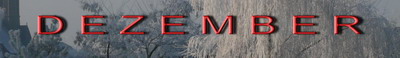 Logo-Monat-Dezember Logo-Monat-Dezember