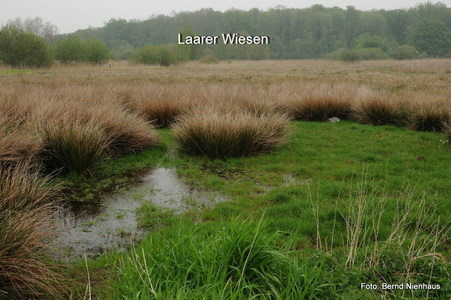 Premiumweg-3-Laarer Wiesen