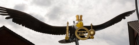 Rhade-2009-Schützenfest-19-Vogel