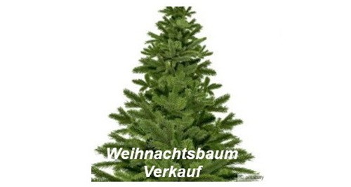Weihnachtsbaum-Verkauf