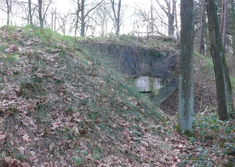 Natur-Febr-Bunkerhügel